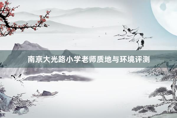 南京大光路小学老师质地与环境评测